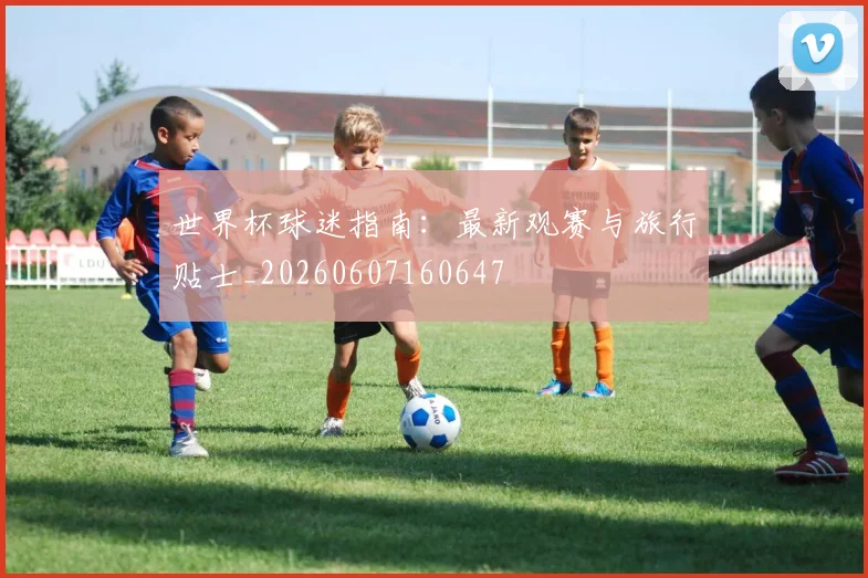 世界杯球迷指南：最新观赛与旅行贴士_20260607160647